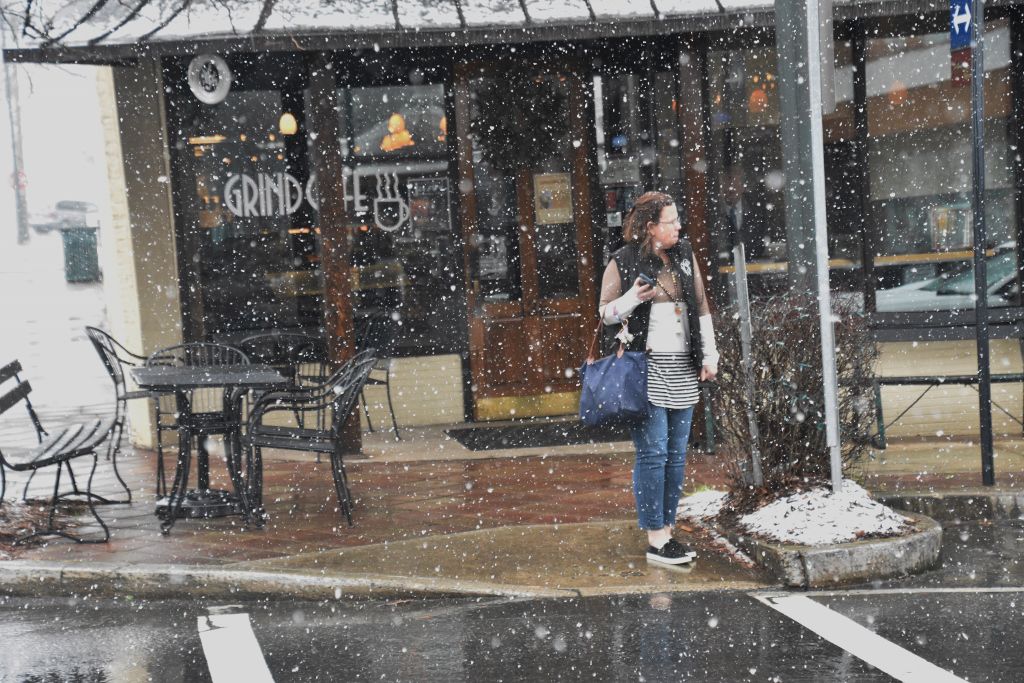 snow 1-31-20 031 (1024x683).jpg